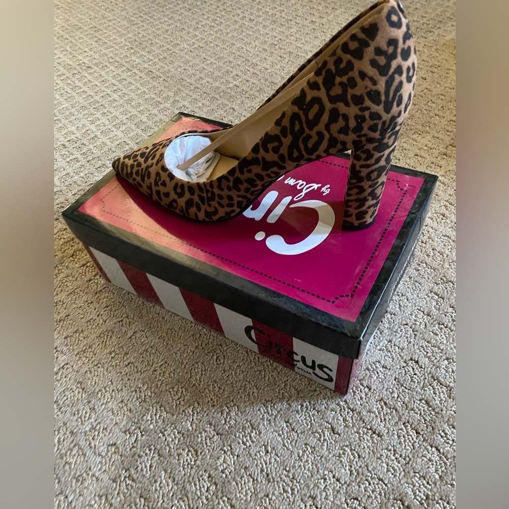 Circus by Sam Edelman Leopard pumps Minden 9